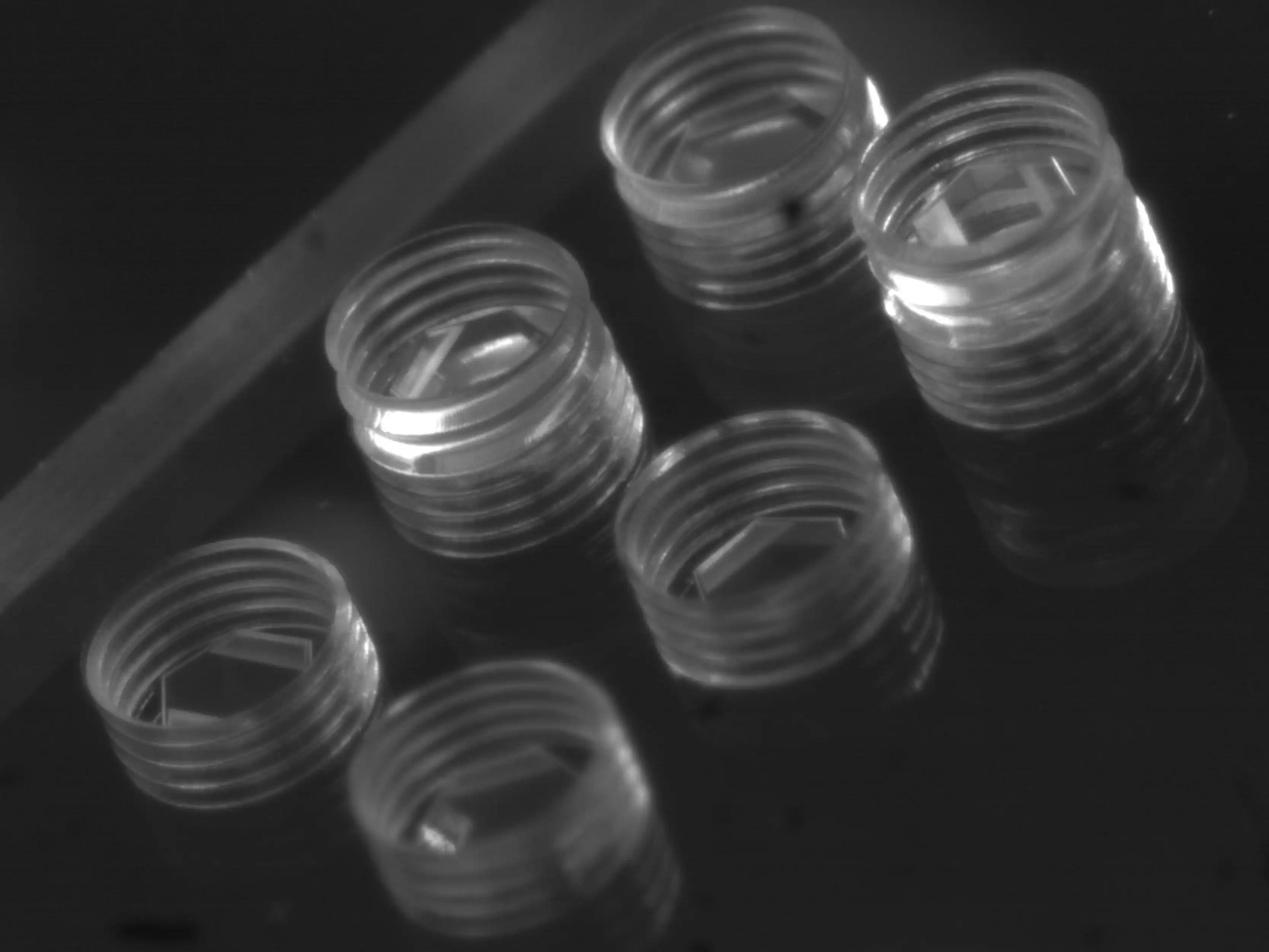 A description of my image.